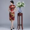 Short Chinese Dress-063-04