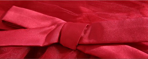 Red Quinceanera Dresses Ball Gown - Image 4