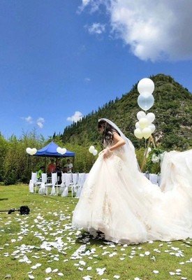 Off Shoulder Ball Gown Long Sleeves Wedding Dresses