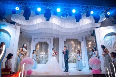 Off Shoulder Ball Gown Long Sleeves Wedding Dresses
