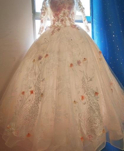 Affordable Long Sleeve Wedding Dress Lace Wedding  Gown Champagne