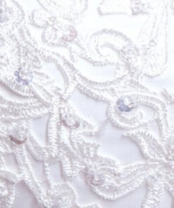 wedding dress lace-0558-01