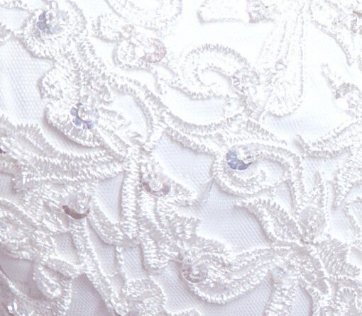 wedding dress lace-0558-01