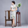 chinese dresses online 748-02