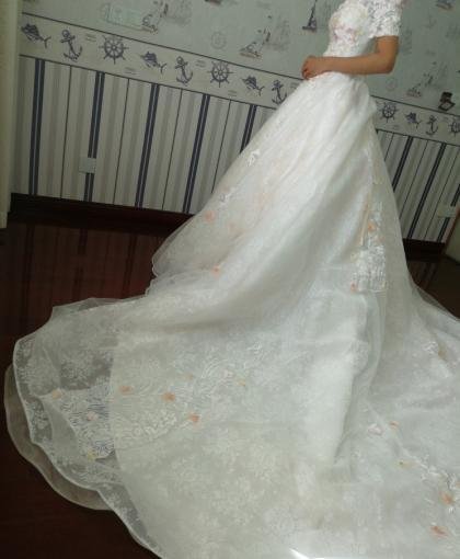 Affordable Long Sleeve Wedding Dress Lace Wedding  Gown Champagne