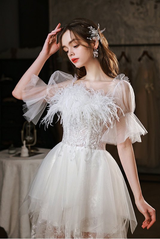 mesh prom dress 1405-006